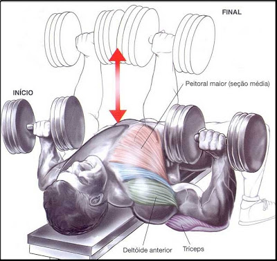 COMO FAZER O SUPINO RETO COM HALTERES PEGADA NEUTRA/HOW TO MAKE BENCH PRESS  WITH NEUTRAL GRIP 