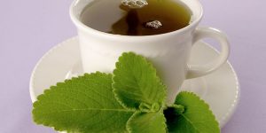 Benefícios do Chá de Boldo