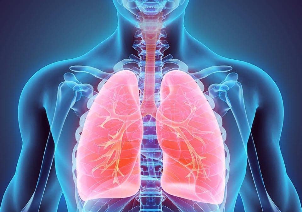 Principais Causas da Hipertensão Pulmonar
